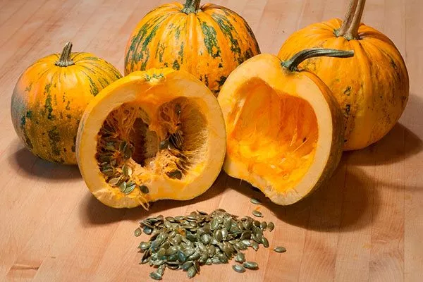 Описание тыквы Голосемянка