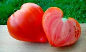 Вкус и назначение