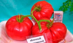 Созревание и плодоношение, продуктивность