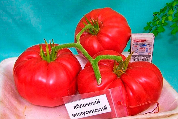 Созревание и плодоношение, продуктивность