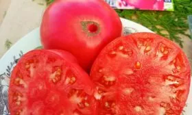 Основные характеристики