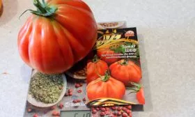 Основные характеристики