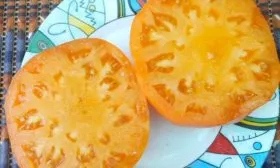 Основные характеристики2