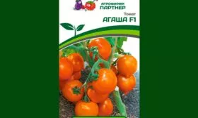 Особенности куста и плодов