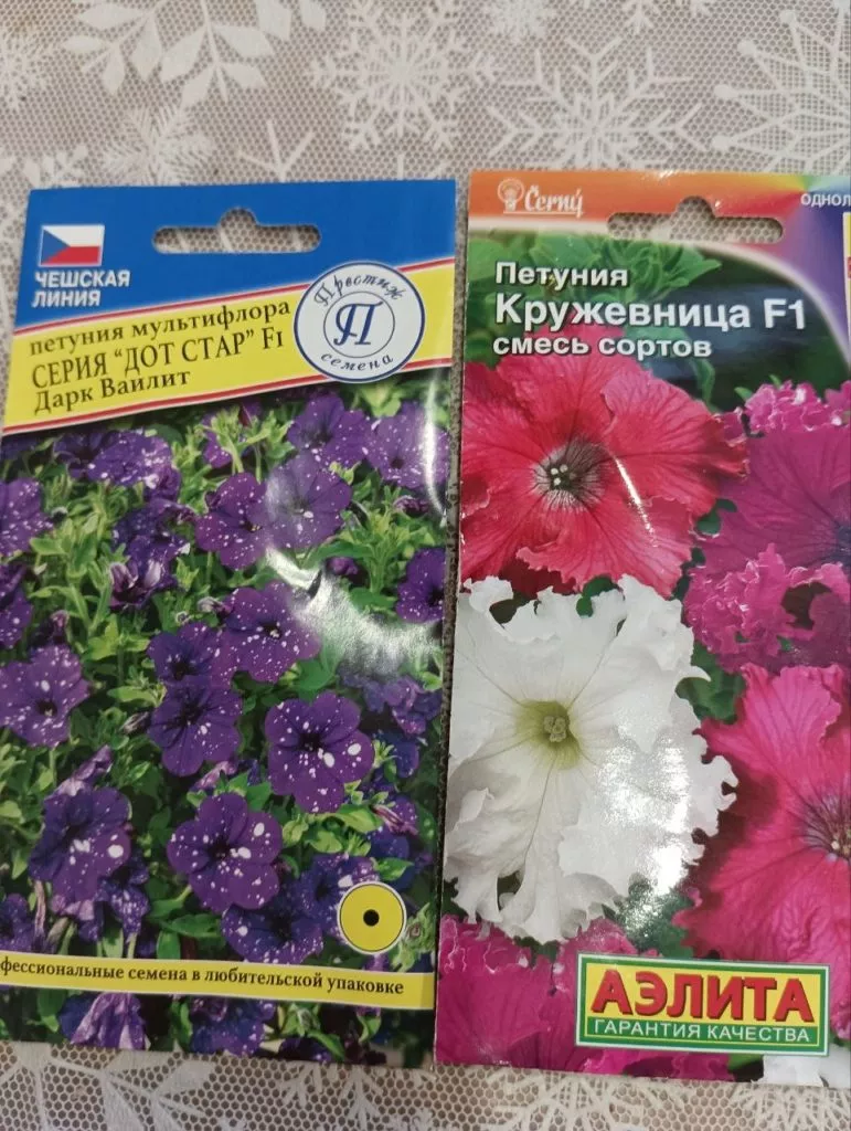 Петунии самые популярные цветы у дачников