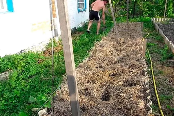 Подготовка грядок