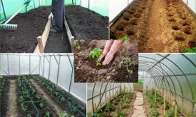 Подготовка места для посадки