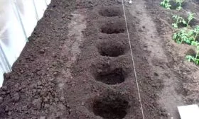 Подготовка почвы