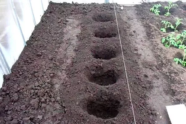 Подготовка почвы