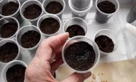 Подготовка почвы