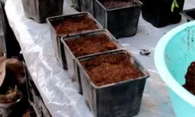 Подготовка посадочной тары