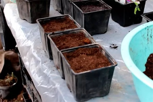 Подготовка посадочной тары