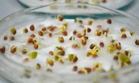 Подготовка семян