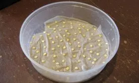 Подготовка семян