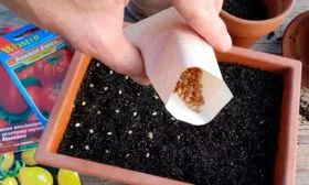 Подготовка семян