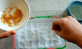 Подготовка семян