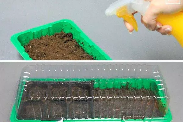 Подготовка тары