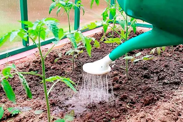 Полив и рыхление