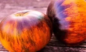 Сбор урожая