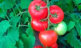 Положительные и отрицательные стороны