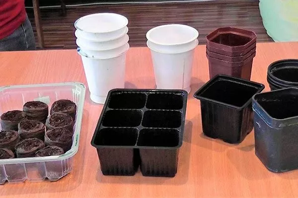 Посадочная тара