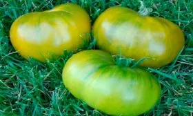 Химический состав и калорийность