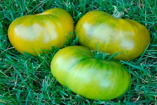 Химический состав и калорийность