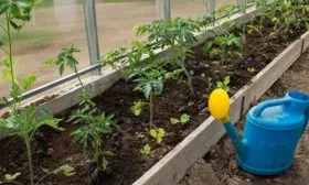 Режим полива