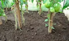 Рыхление и прополка