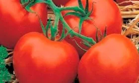 Плоды, их вкусовые качества и назначение