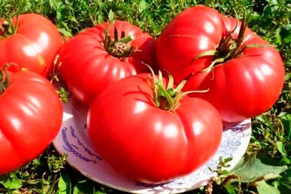 Сбор, хранение