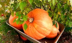 Характеристики