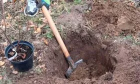 Подготовка посадочной ямы