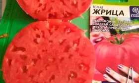 Описание куста и плодов