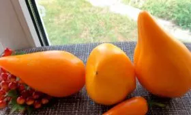 Сердце Любы