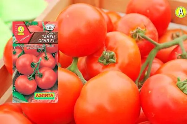 Описание кустов и плодов2