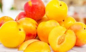 Сортовые признаки плодов