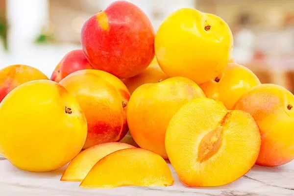 Сортовые признаки плодов