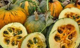 Сбор урожая