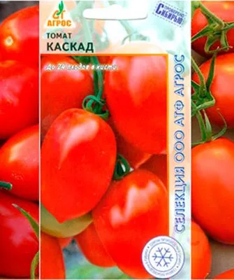 Томат Каскад1