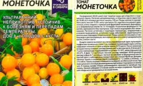 tomat-monetochka-2