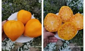 Основные характеристики2