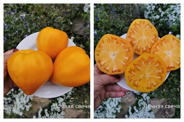 Основные характеристики2