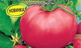 томат Победа F1