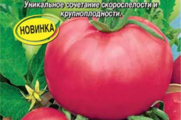 томат Победа F1