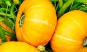 Вкусовые характеристики и назначение