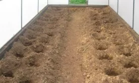 Подготовка почвы