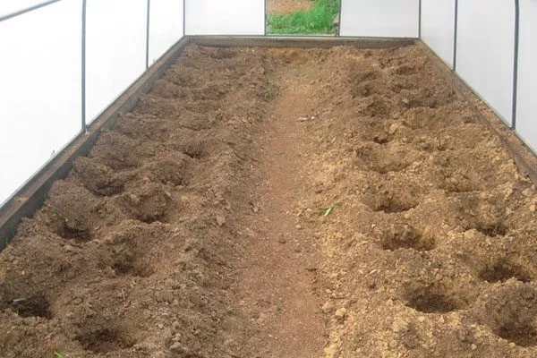 Подготовка почвы