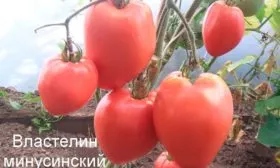 Уход за растениями