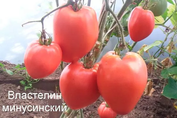 Уход за растениями